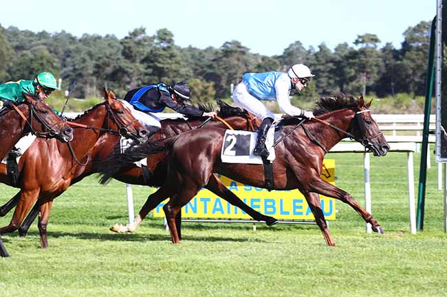Photo d'arrivée de la course pmu PRIX DES CHARMILLES à FONTAINEBLEAU le Jeudi 30 septembre 2021