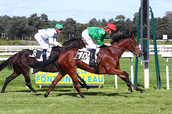 Photo d'arrivée de la course pmu PRIX DE LA MARE AUX EVEES à FONTAINEBLEAU le Jeudi 30 septembre 2021