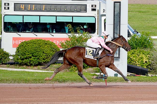 Photo d'arrivée de la course pmu PRIX DE LA PLACE BEAUVAU à ENGHIEN le Jeudi 30 septembre 2021