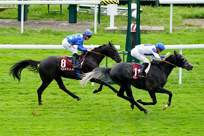 Photo d'arrivée de la course pmu QATAR ARABIAN TROPHY DES POULAINS à SAINT CLOUD le Vendredi 1 octobre 2021