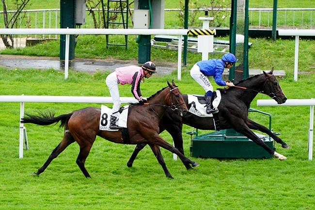 Photo d'arrivée de la course pmu PRIX MATCHEM à SAINT CLOUD le Vendredi 1 octobre 2021
