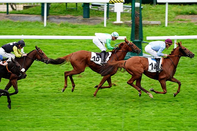 Photo d'arrivée de la course pmu PRIX HERVINE à SAINT CLOUD le Vendredi 1 octobre 2021
