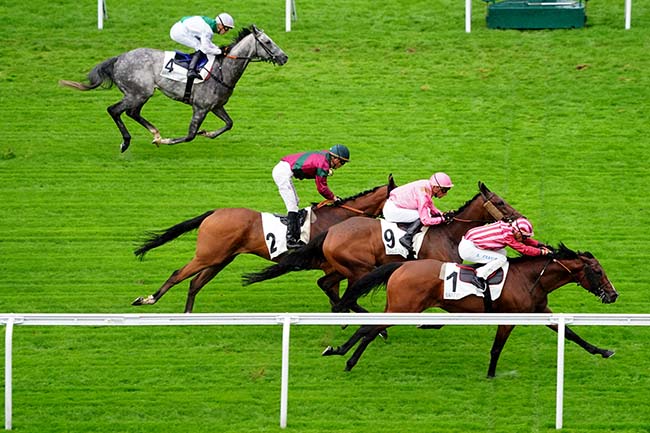 Photo d'arrivée de la course pmu PRIX JOUVENCE à SAINT CLOUD le Vendredi 1 octobre 2021