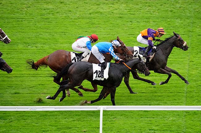 Photo d'arrivée de la course pmu PRIX DE GUYANCOURT à SAINT CLOUD le Vendredi 1 octobre 2021