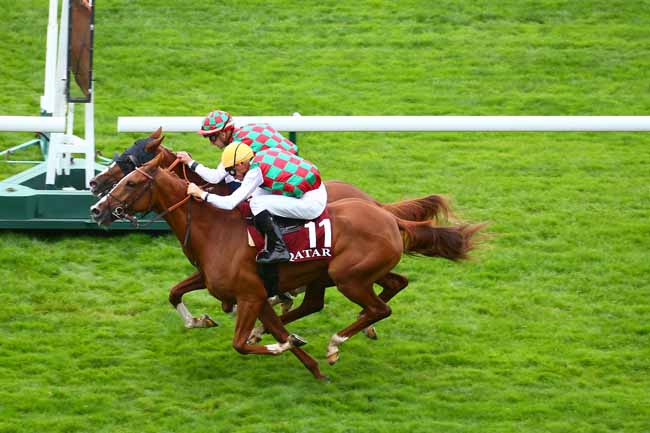 Photo d'arrivée de la course pmu QATAR ARABIAN TROPHY DES JUMENTS (POULICHES 4 ANS) à LONGCHAMP le Samedi 2 octobre 2021