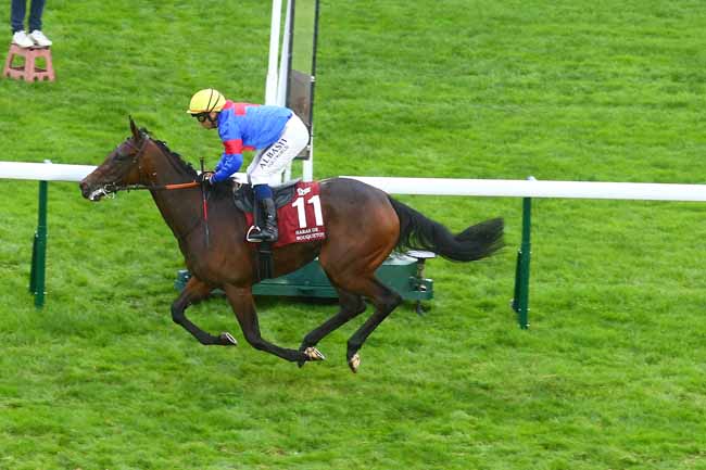 Photo d'arrivée de la course pmu HARAS DE BOUQUETOT - CRITERIUM ARQANA à LONGCHAMP le Samedi 2 octobre 2021