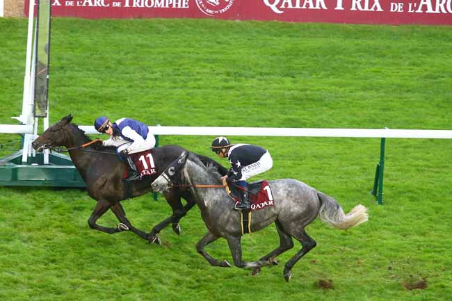 Photo d'arrivée de la course pmu QATAR PRIX DE LA PLACE DE L'ETOILE à LONGCHAMP le Samedi 2 octobre 2021