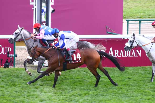 Photo d'arrivée de la course pmu QATAR ARABIAN WORLD CUP à LONGCHAMP le Dimanche 3 octobre 2021