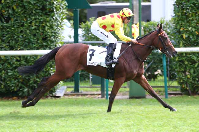 Photo d'arrivée de la course pmu PRIX DES USAGES à CHANTILLY le Mardi 5 octobre 2021