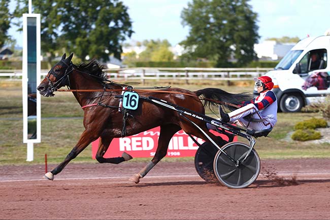 Photo d'arrivée de la course pmu GRAND PRIX ANJOU-MAINE à ANGERS le Mercredi 6 octobre 2021