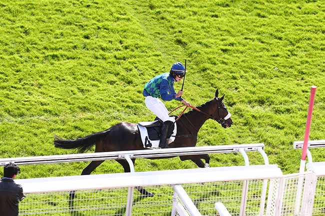 Photo d'arrivée de la course pmu PRIX FALZAREGO à AUTEUIL le Mercredi 6 octobre 2021