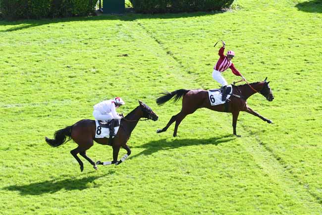 Photo d'arrivée de la course pmu PRIX DE SALERS à AUTEUIL le Mercredi 6 octobre 2021