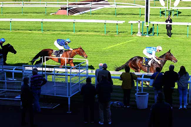 Photo d'arrivée de la course pmu PRIX CHARLES LAFFITTE à COMPIEGNE le Vendredi 8 octobre 2021