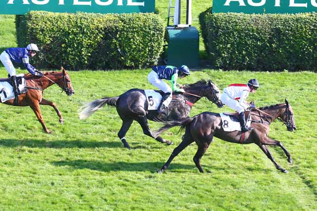 Photo d'arrivée de la course pmu PRIX ORCADA à AUTEUIL le Dimanche 10 octobre 2021