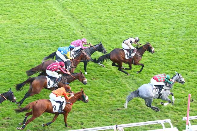 Photo d'arrivée de la course pmu PRIX JACK BARBE à AUTEUIL le Dimanche 10 octobre 2021