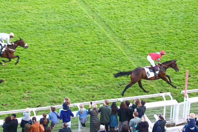 Photo d'arrivée de la course pmu PRIX DU NOUVEAU CERCLE DE L'UNION - PRIX PAUL'S CRAY à AUTEUIL le Dimanche 10 octobre 2021