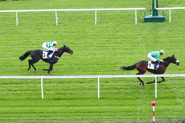 Photo d'arrivée de la course pmu PRIX GLORIEUSE à SAINT CLOUD le Mardi 12 octobre 2021