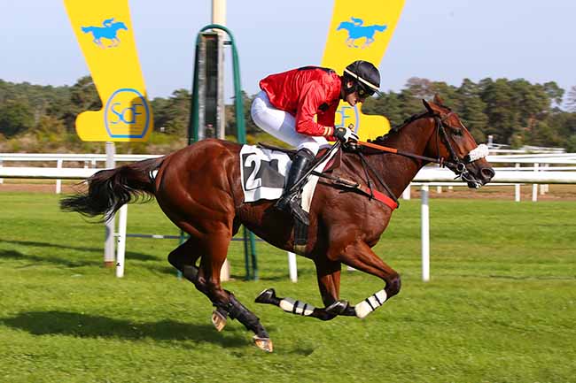 Photo d'arrivée de la course pmu PRIX DE L'ECOLE MILITAIRE D'EQUITATION à FONTAINEBLEAU le Mardi 12 octobre 2021
