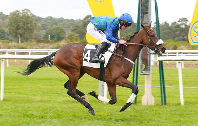Photo d'arrivée de la course pmu PRIX COLONEL JOCHAUD DU PLESSIX à FONTAINEBLEAU le Mardi 12 octobre 2021