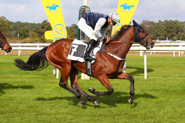 Photo d'arrivée de la course pmu PRIX DES GENETS à FONTAINEBLEAU le Mardi 12 octobre 2021