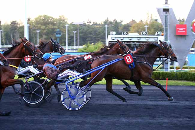 Photo d'arrivée de la course pmu PRIX DAPHNE à PARIS-VINCENNES le Mardi 12 octobre 2021