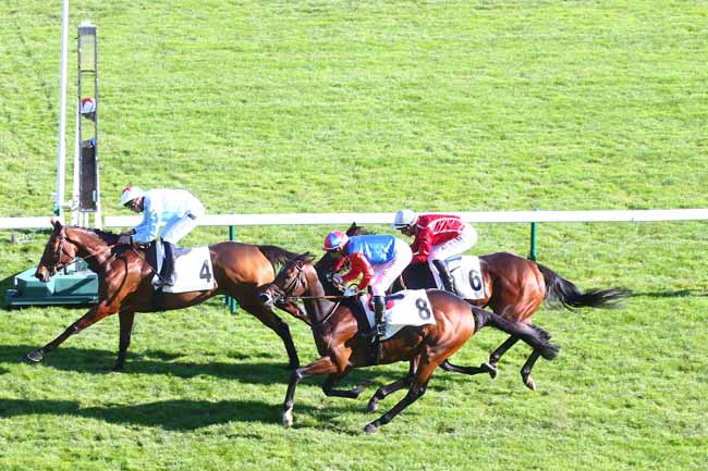 Photo d'arrivée de la course pmu PRIX ERNEST LEROY à LONGCHAMP le Jeudi 14 octobre 2021