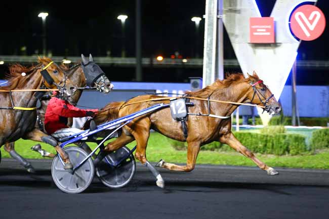 Photo d'arrivée de la course pmu PRIX GUDRUN à PARIS-VINCENNES le Vendredi 15 octobre 2021