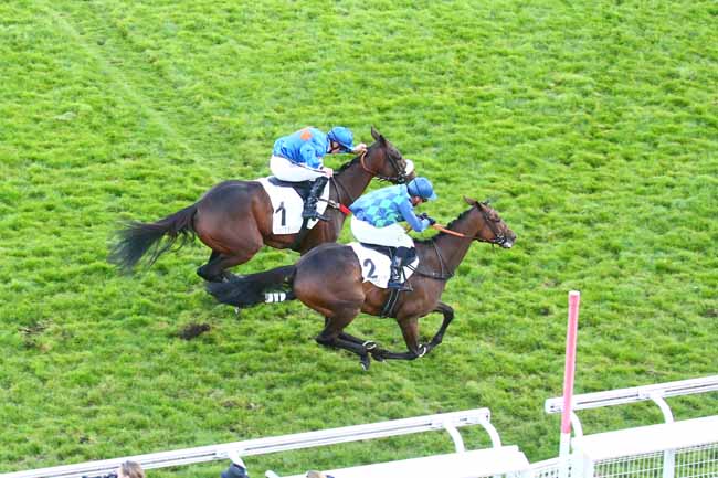Photo d'arrivée de la course pmu PRIX PIERRE DE LASSUS à AUTEUIL le Samedi 16 octobre 2021