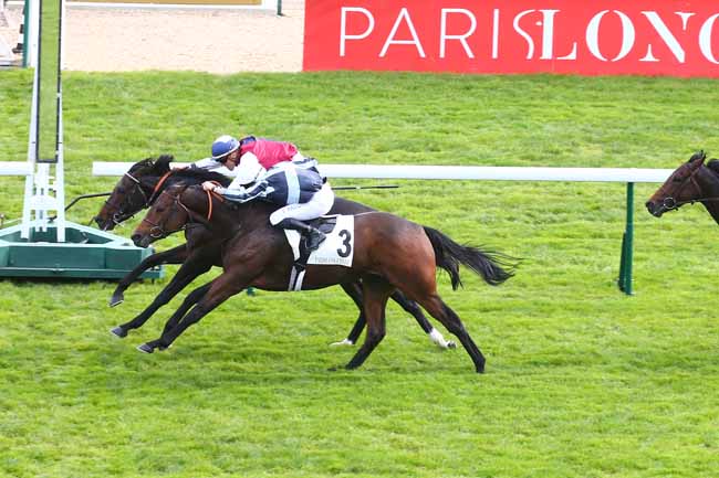Photo d'arrivée de la course pmu PRIX DE GESVRES à LONGCHAMP le Dimanche 17 octobre 2021