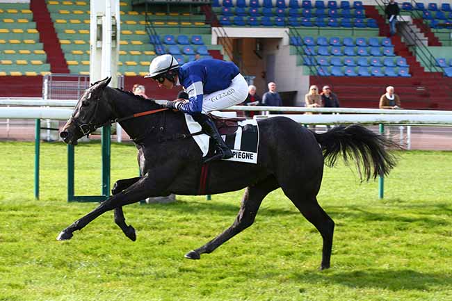 Photo d'arrivée de la course pmu PRIX LOGGIA à COMPIEGNE le Lundi 18 octobre 2021