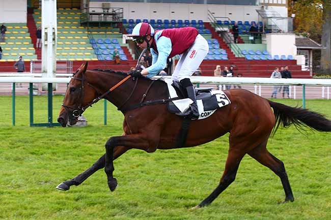 Photo d'arrivée de la course pmu PRIX LA FREGATE à COMPIEGNE le Lundi 18 octobre 2021