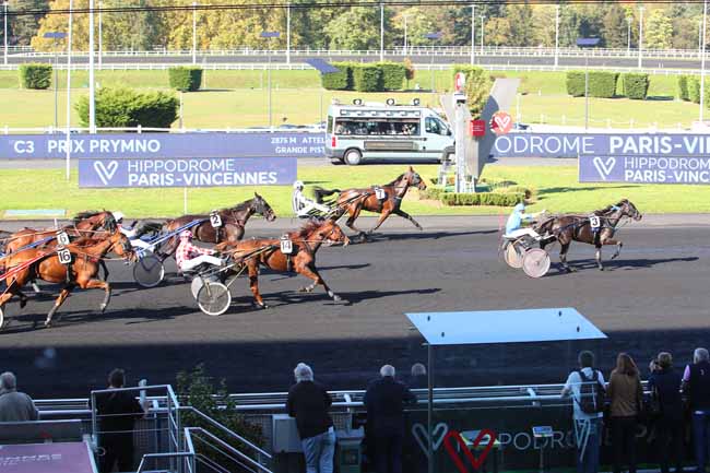 Photo d'arrivée de la course pmu PRIX PRYMNO à PARIS-VINCENNES le Mardi 19 octobre 2021