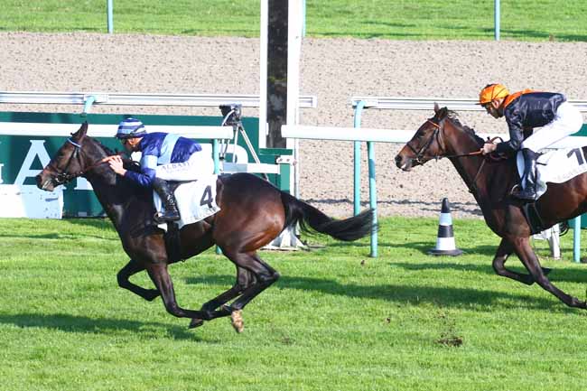Photo d'arrivée de la course pmu PRIX DES RESERVOIRS à DEAUVILLE le Mardi 19 octobre 2021
