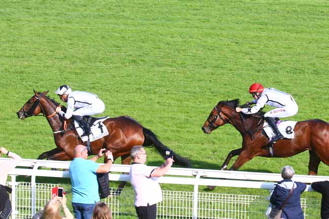Photo d'arrivée de la course pmu PRIX ZEDDAAN à DEAUVILLE le Mardi 19 octobre 2021