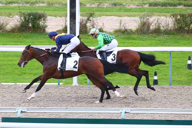 Photo d'arrivée de la course pmu PRIX DE CASTILLON à DEAUVILLE le Mercredi 20 octobre 2021