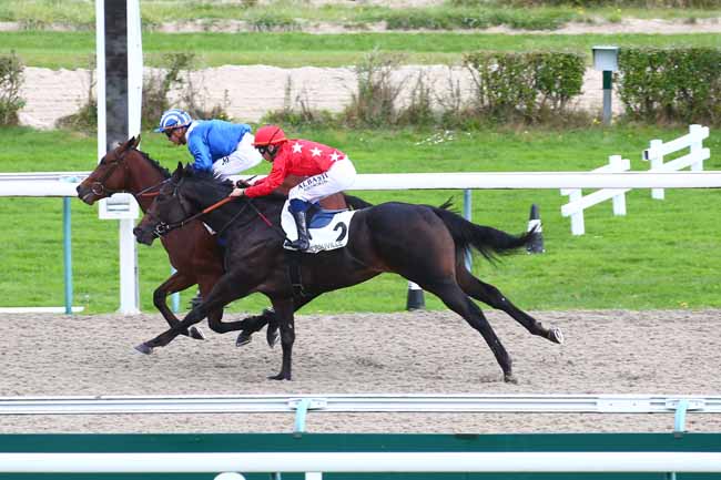 Photo d'arrivée de la course pmu PRIX DE VARANVILLE à DEAUVILLE le Mercredi 20 octobre 2021