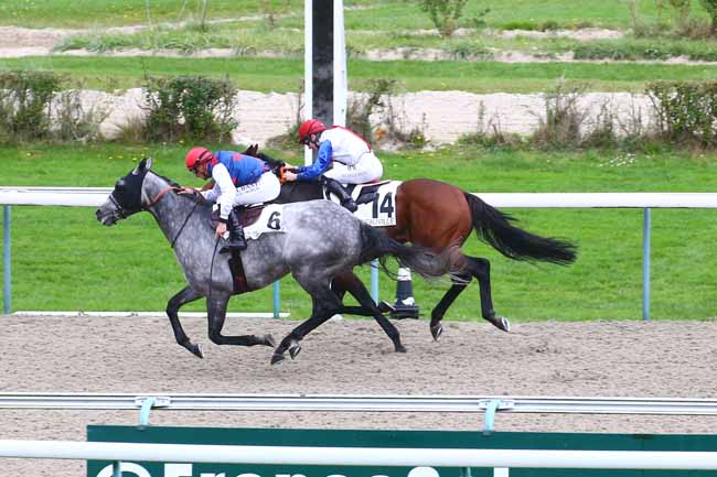 Photo d'arrivée de la course pmu PRIX DE LA FORET DE CERISY à DEAUVILLE le Mercredi 20 octobre 2021