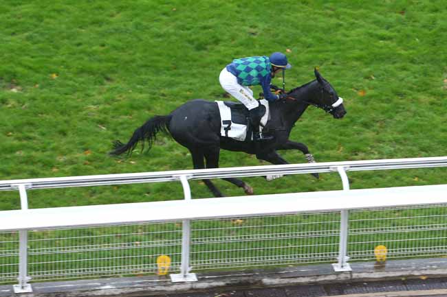 Photo d'arrivée de la course pmu PRIX MID DANCER à AUTEUIL le Jeudi 21 octobre 2021