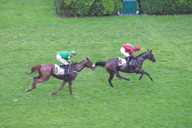 Photo d'arrivée de la course pmu PRIX HARAS DU REUILLY à AUTEUIL le Jeudi 21 octobre 2021