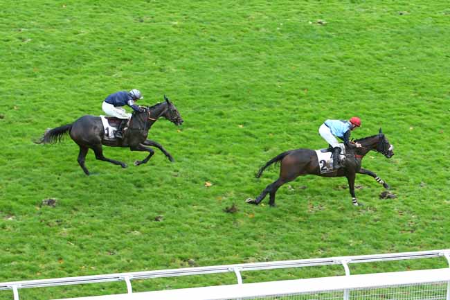 Photo d'arrivée de la course pmu HARAS D'ETREHAM - PRIX MAGNE à AUTEUIL le Jeudi 21 octobre 2021