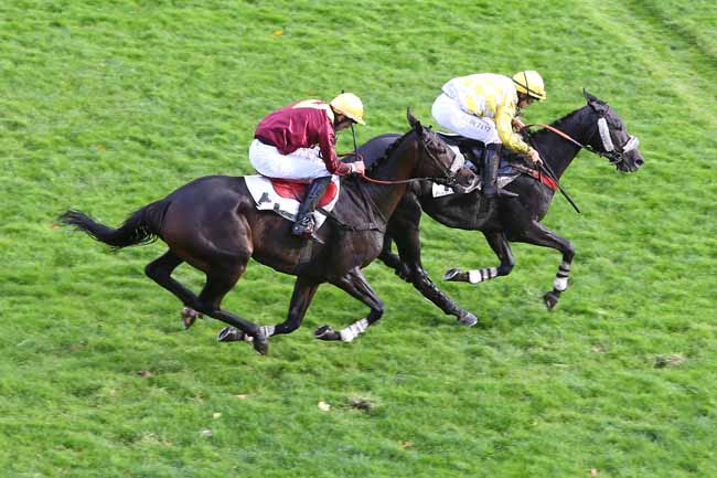 Photo d'arrivée de la course pmu PRIX ROBERT BATES à AUTEUIL le Jeudi 21 octobre 2021