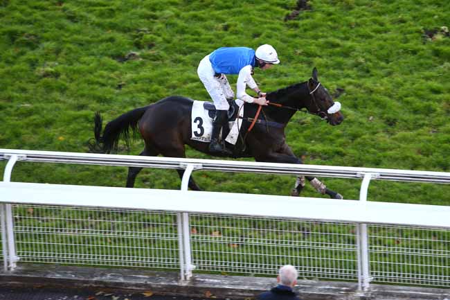 Photo d'arrivée de la course pmu PRIX CAP à AUTEUIL le Jeudi 21 octobre 2021