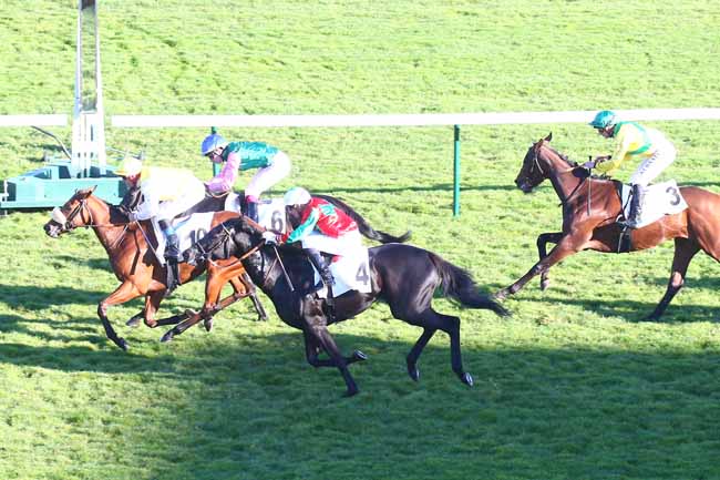 Photo d'arrivée de la course pmu PRIX DE SAINT-CYR à LONGCHAMP le Dimanche 24 octobre 2021