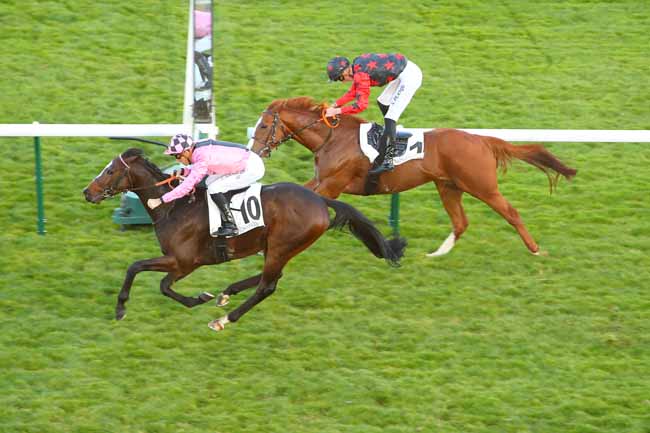 Photo d'arrivée de la course pmu PRIX DE MOGADOR à LONGCHAMP le Dimanche 24 octobre 2021