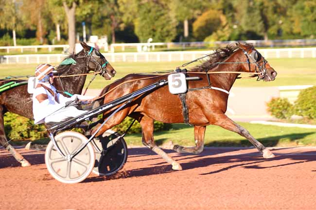 Photo d'arrivée de la course pmu PRIX DE LA PLACE DES VOSGES à ENGHIEN le Dimanche 24 octobre 2021