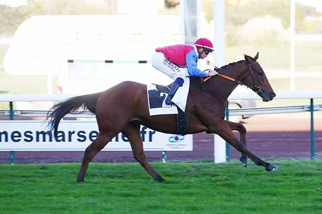 Photo d'arrivée de la course pmu PRIX DE BELSUNCE à MARSEILLE BORELY le Lundi 25 octobre 2021