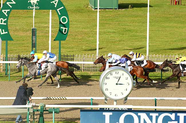Photo d'arrivée de la course pmu PRIX DE LA VOIE DU GARDE à CHANTILLY le Mardi 26 octobre 2021