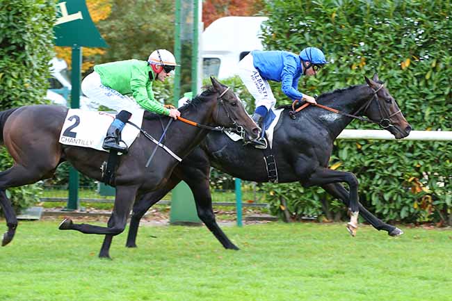 Photo d'arrivée de la course pmu PRIX DE SEINE-ET-OISE à CHANTILLY le Mardi 26 octobre 2021