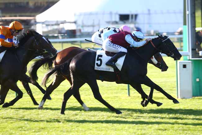 Photo d'arrivée de la course pmu CRITERIUM DE VITESSE à LONGCHAMP le Jeudi 28 octobre 2021