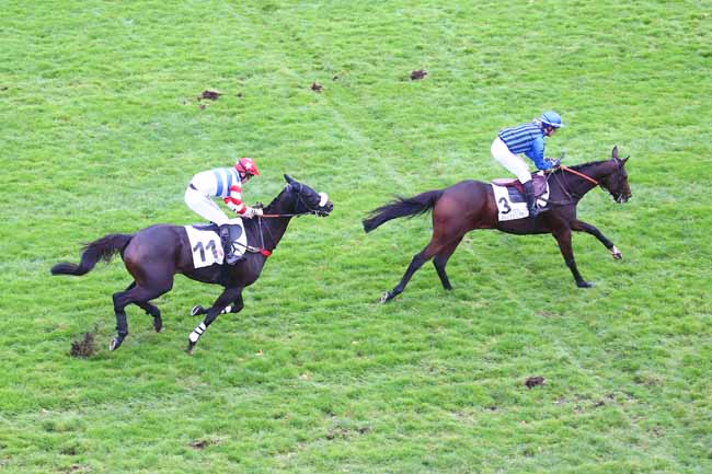 Photo d'arrivée de la course pmu PRIX HUNORISK à AUTEUIL le Vendredi 29 octobre 2021